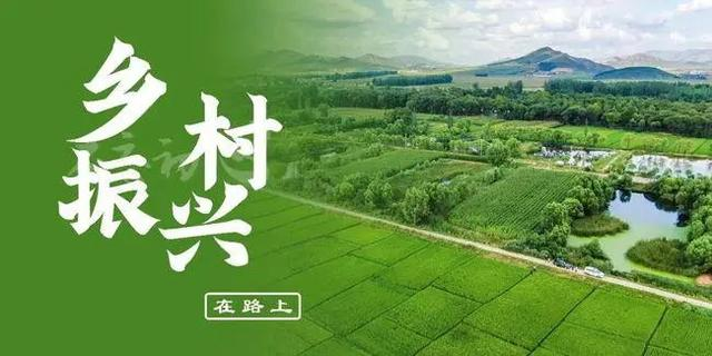 农村电商发展助力乡村振兴