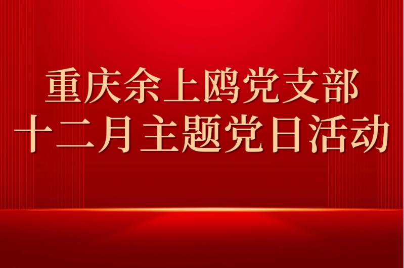 重庆余上鸥党支部开展12月主题党日活动
