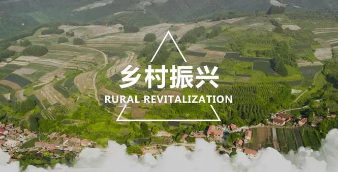 微信图片_20240306104111.png